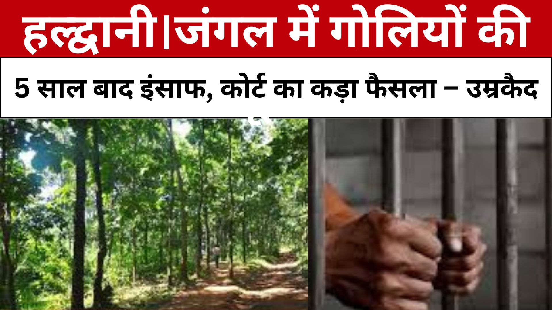 कालाढूंगी थाना क्षेत्र में साढ़े पांच साल पहले वनकर्मियों पर हुई ताबड़तोड़ फायरिंग