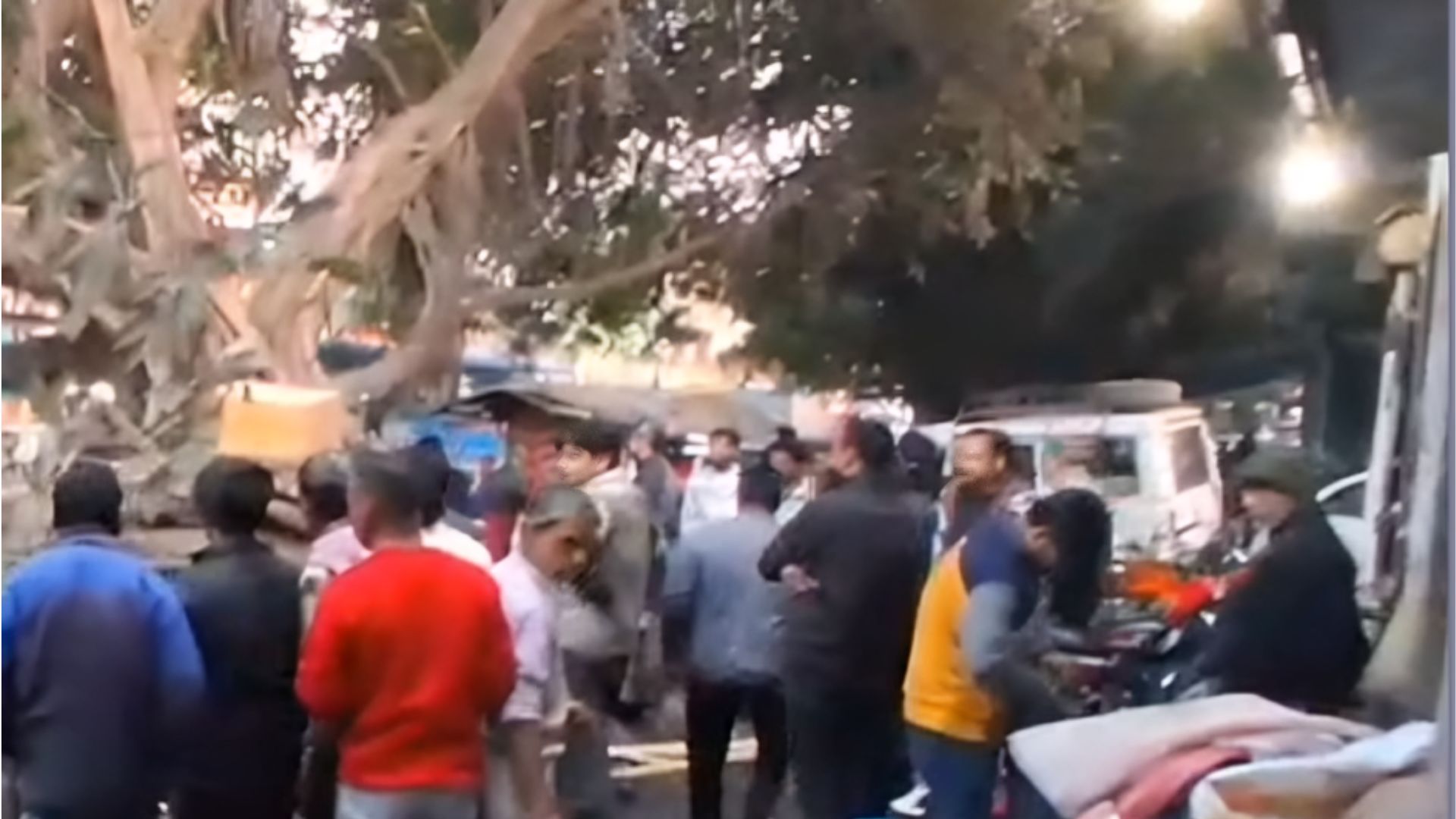 वर्कशॉप लाइन में अचानक गिरा विशालकाय पेड़