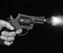 लाइसेंसी पिस्टल से चली गोली