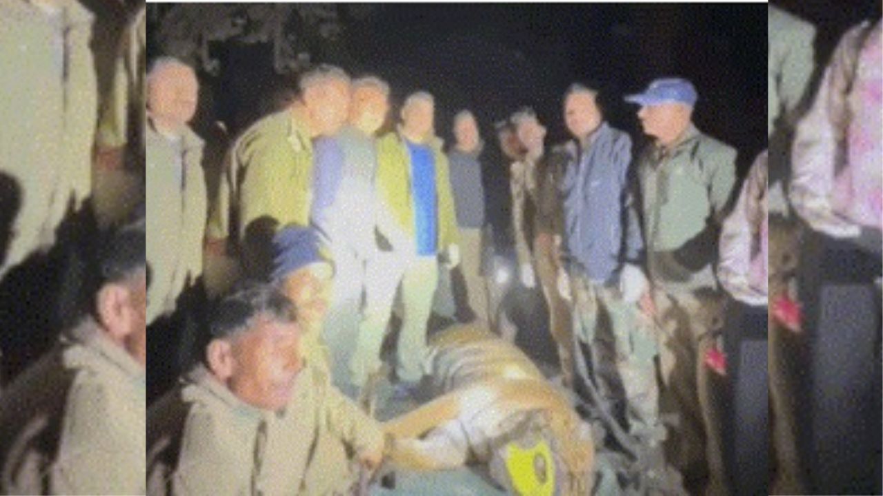 आदमखोर बाघ ट्रैंकुलाइज