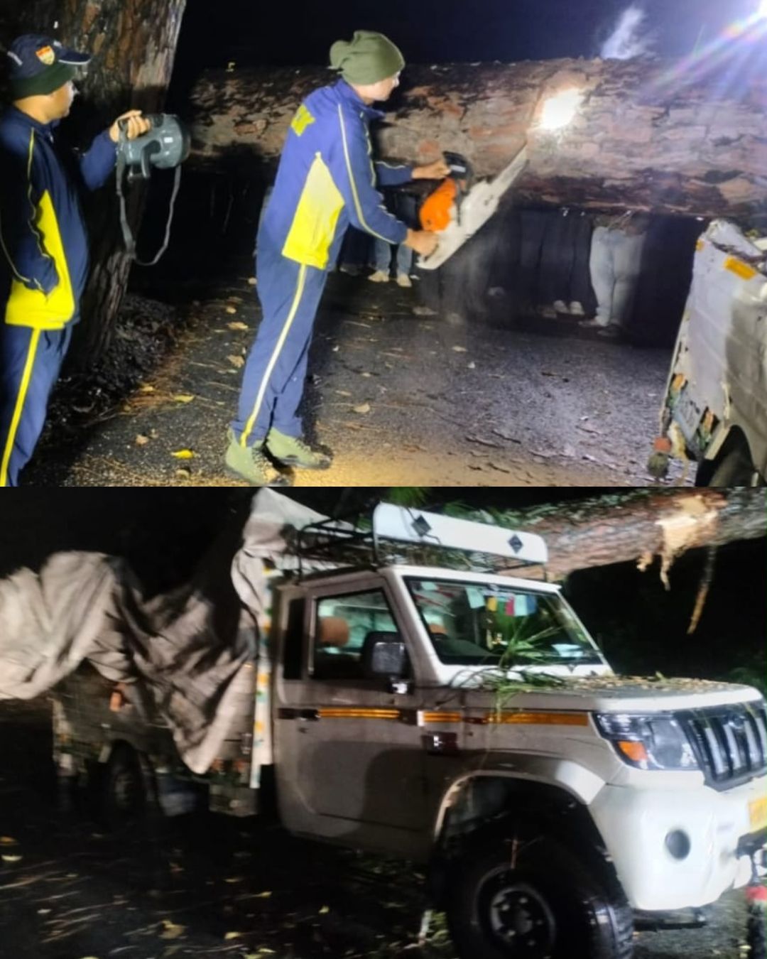 पिकअप पर गिरा पेड़