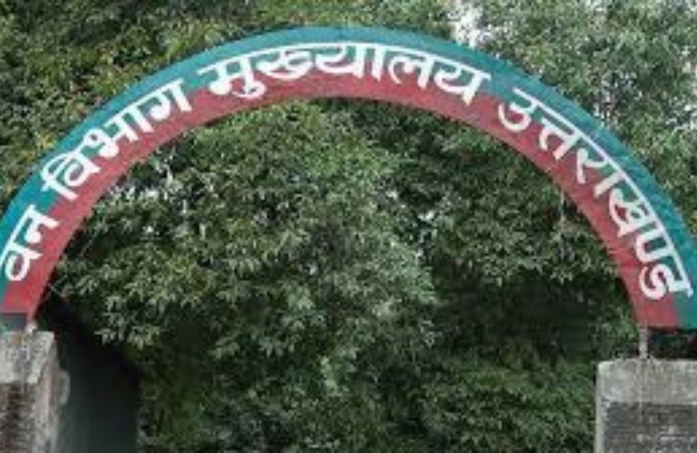 वन विभाग में बड़ा प्रशासनिक फेरबदल