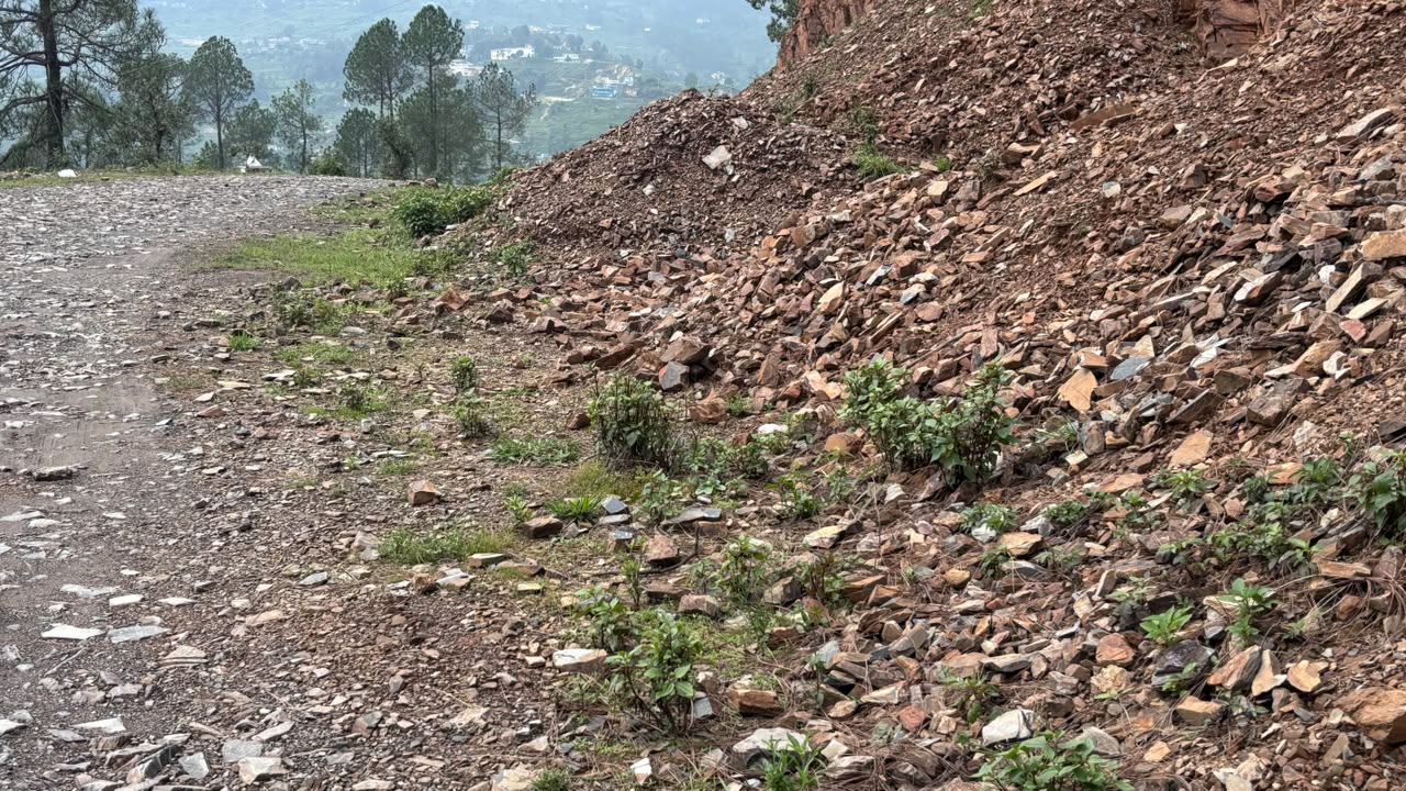 बागेश्वर के राजकीय महाविद्यालय काण्डा को जोड़ने वाली जर्जर व गड्ढों से भरी 800 मीटर लंबी बदहाल सड़क