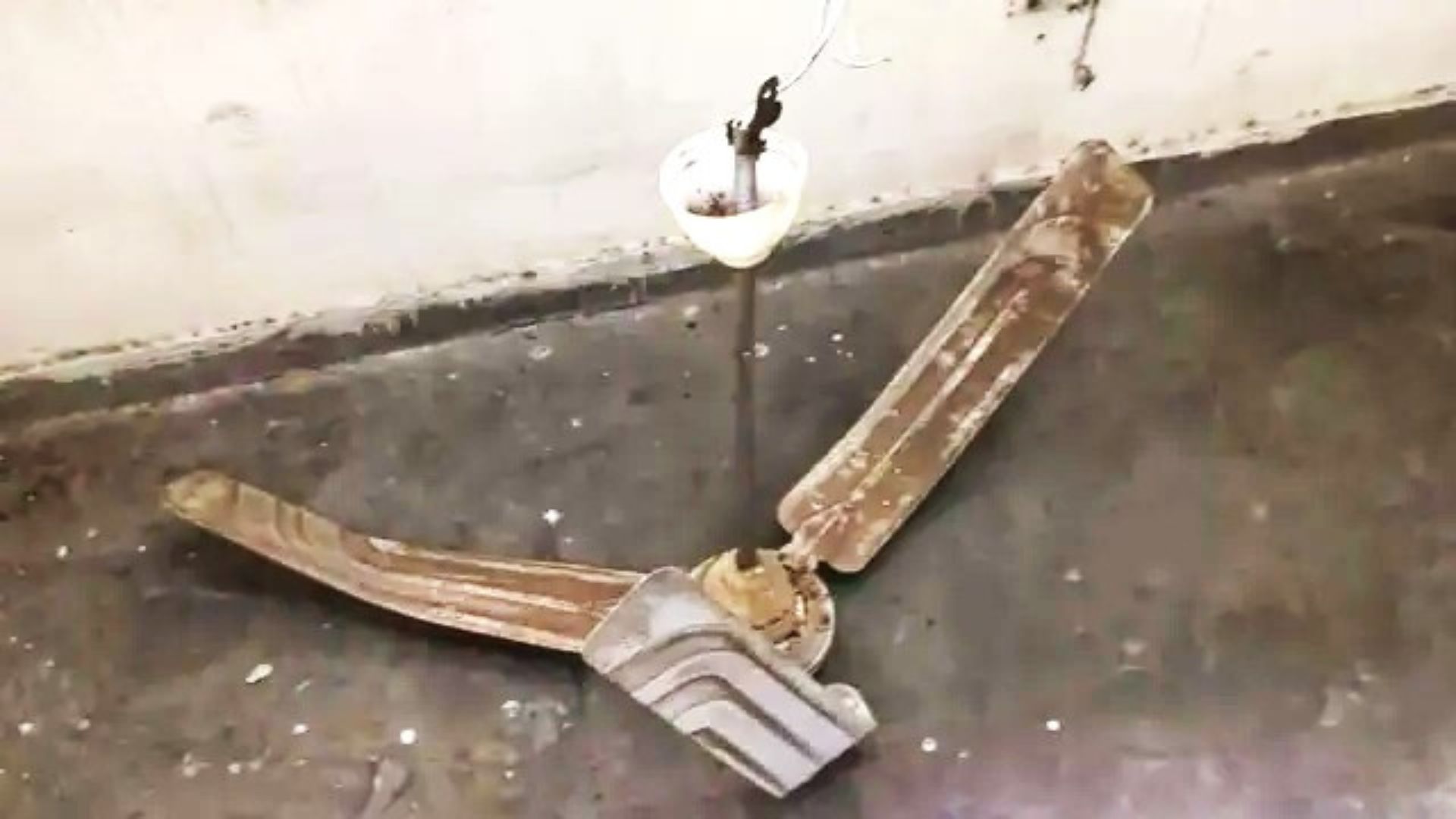 रुद्रपुर के एएनझा इंटर कॉलेज में कक्षा के दौरान पंखा गिरने से घायल छात्र अस्पताल में भर्ती